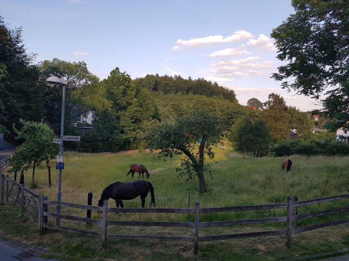 Ferienwohnung Drei Lilien Gummersbach Exterior foto